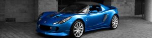 Lotus lotus