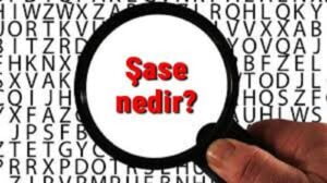 Şase Nedir? Araçların Şase Numarası Ne İşe Yarar, Nerede Yazar? sase-nedir-araclarin-sase-numarasi-ne-ise-yarar-nerede-yazar