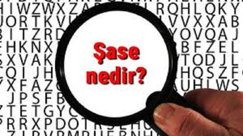 sase-nedir-araclarin-sase-numarasi-ne-ise-yarar-nerede-yazar